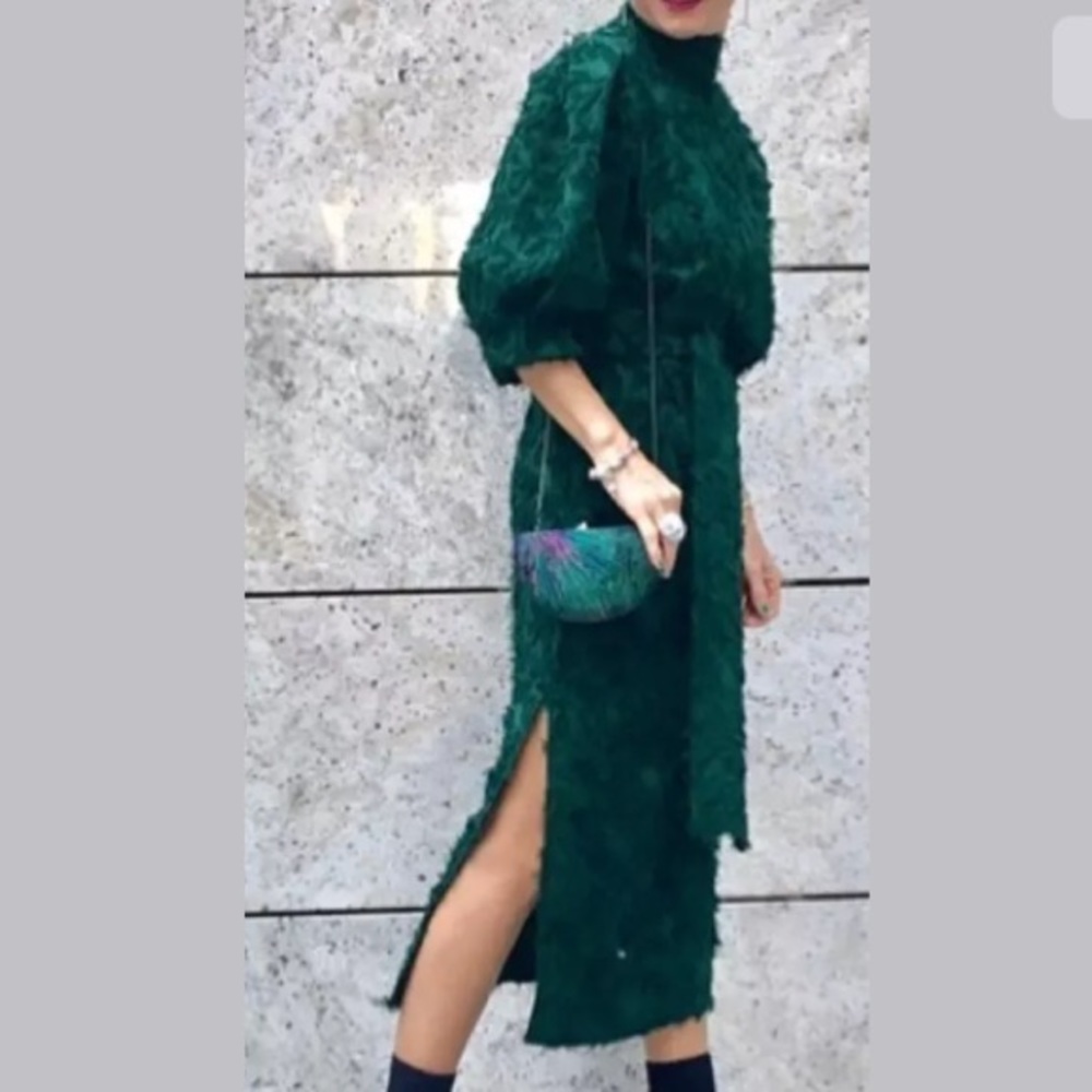 Zara Blogger Favorite Dress - Picture 6 of 11